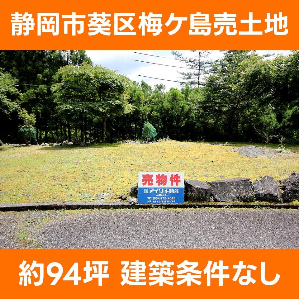 葵区梅ケ島売土地